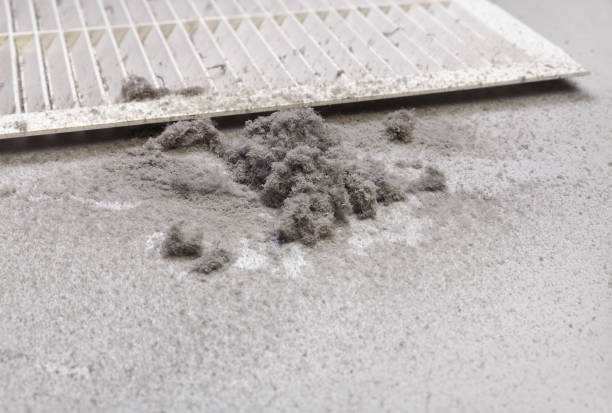Best Emergency Air Duct Cleaning  in Flint, MI