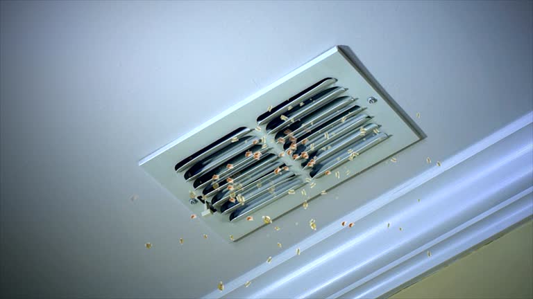 Best Affordable Duct Cleaning Services  in Flint, MI