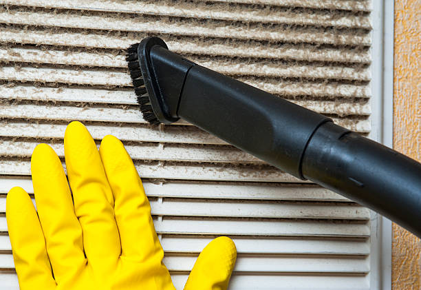 Best Air Duct Cleaning Near Me  in Flint, MI